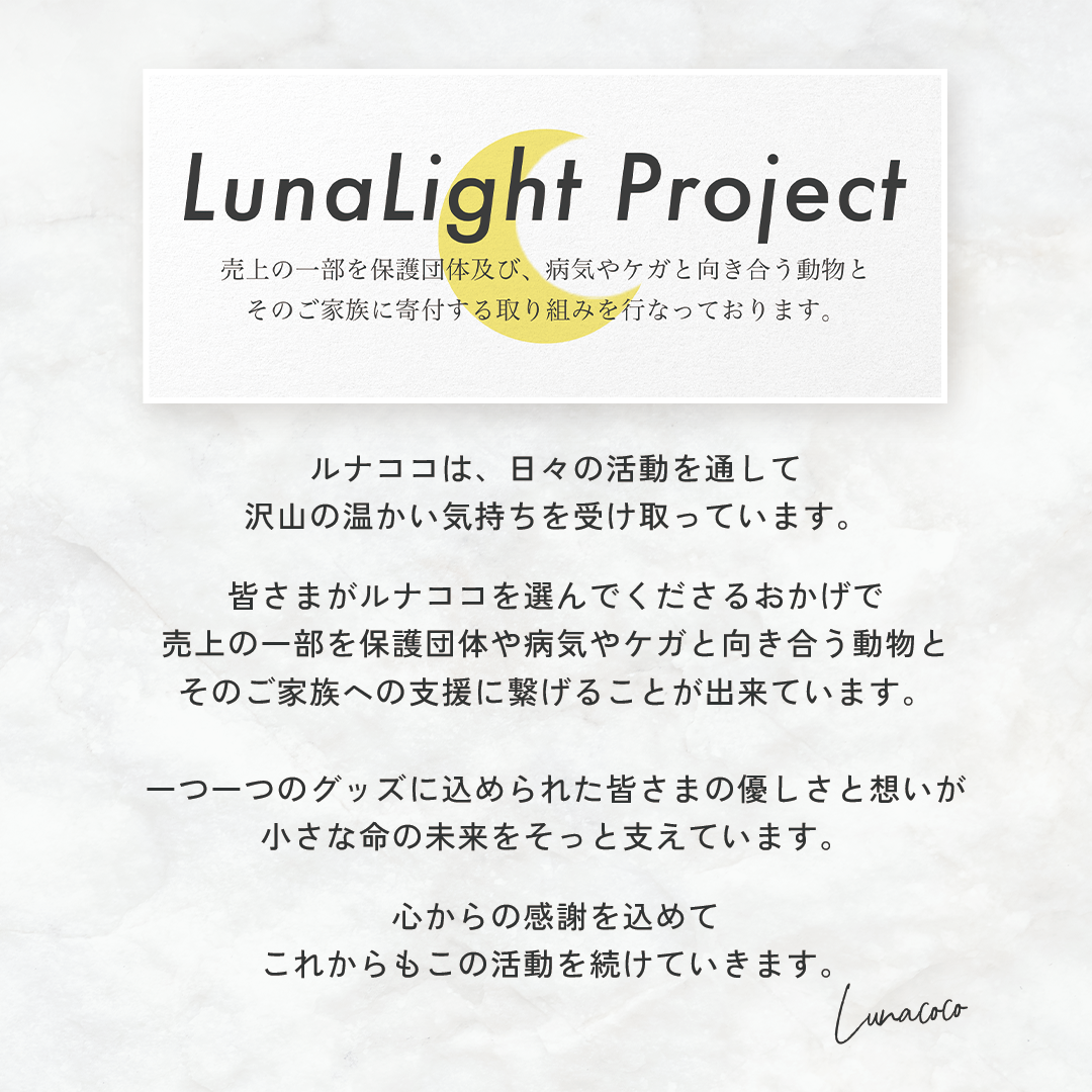 ANILY Basicセット