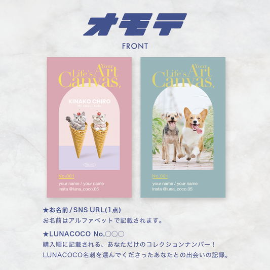 Life’s Canvas Your Art