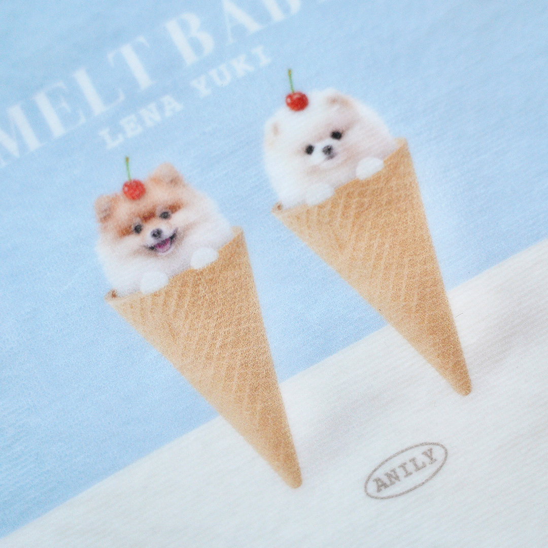 ANILY Lightセット