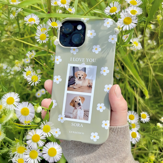 「Daisy Frame」デイジーフレーム