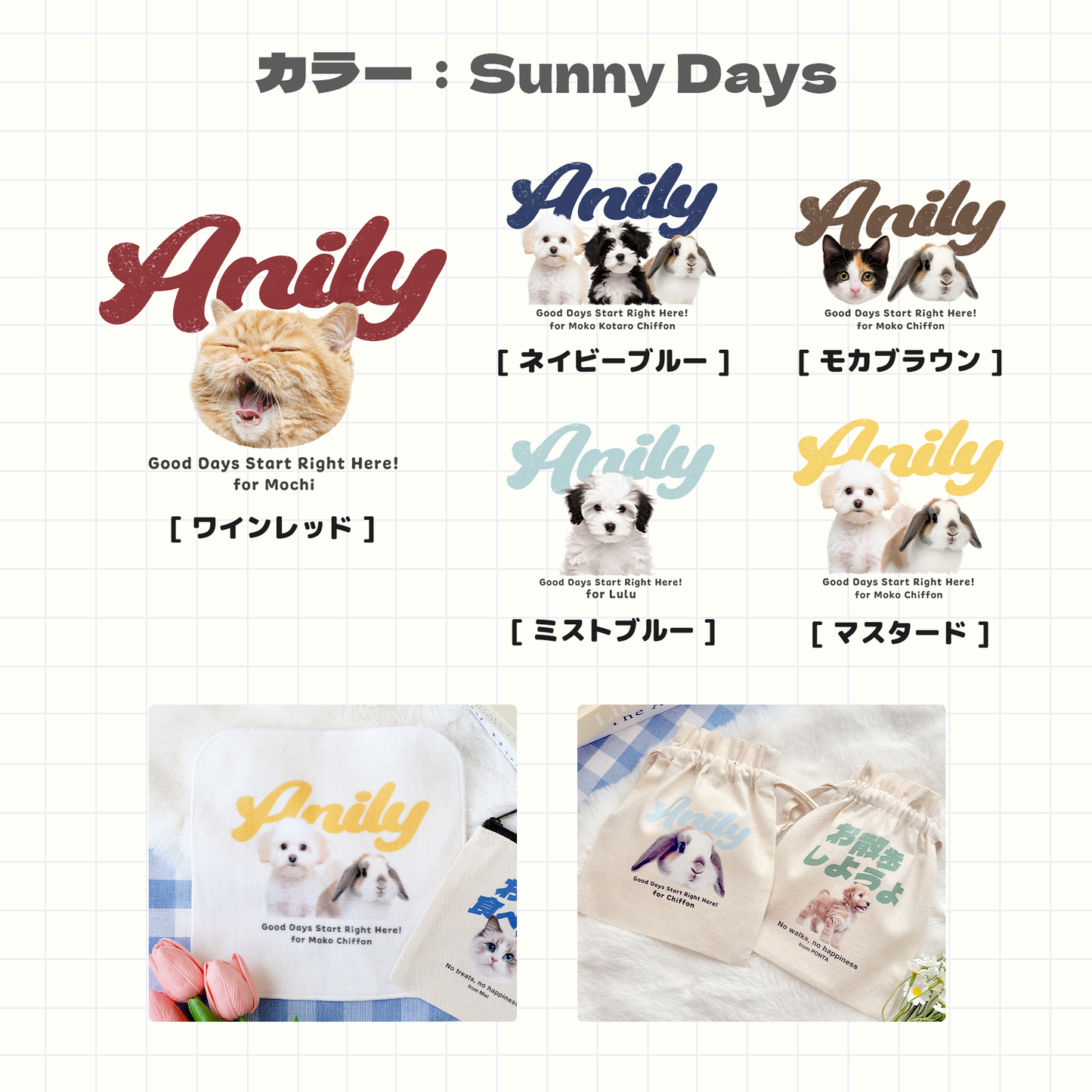 ANILY Lightセット