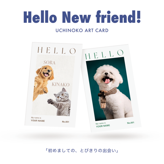 Hello New friend!