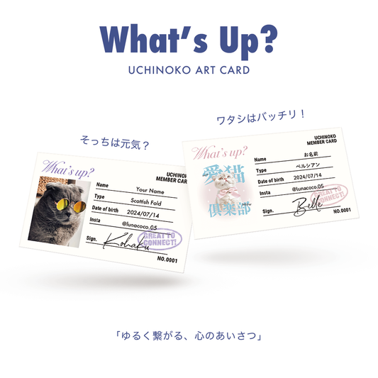 What's Up?