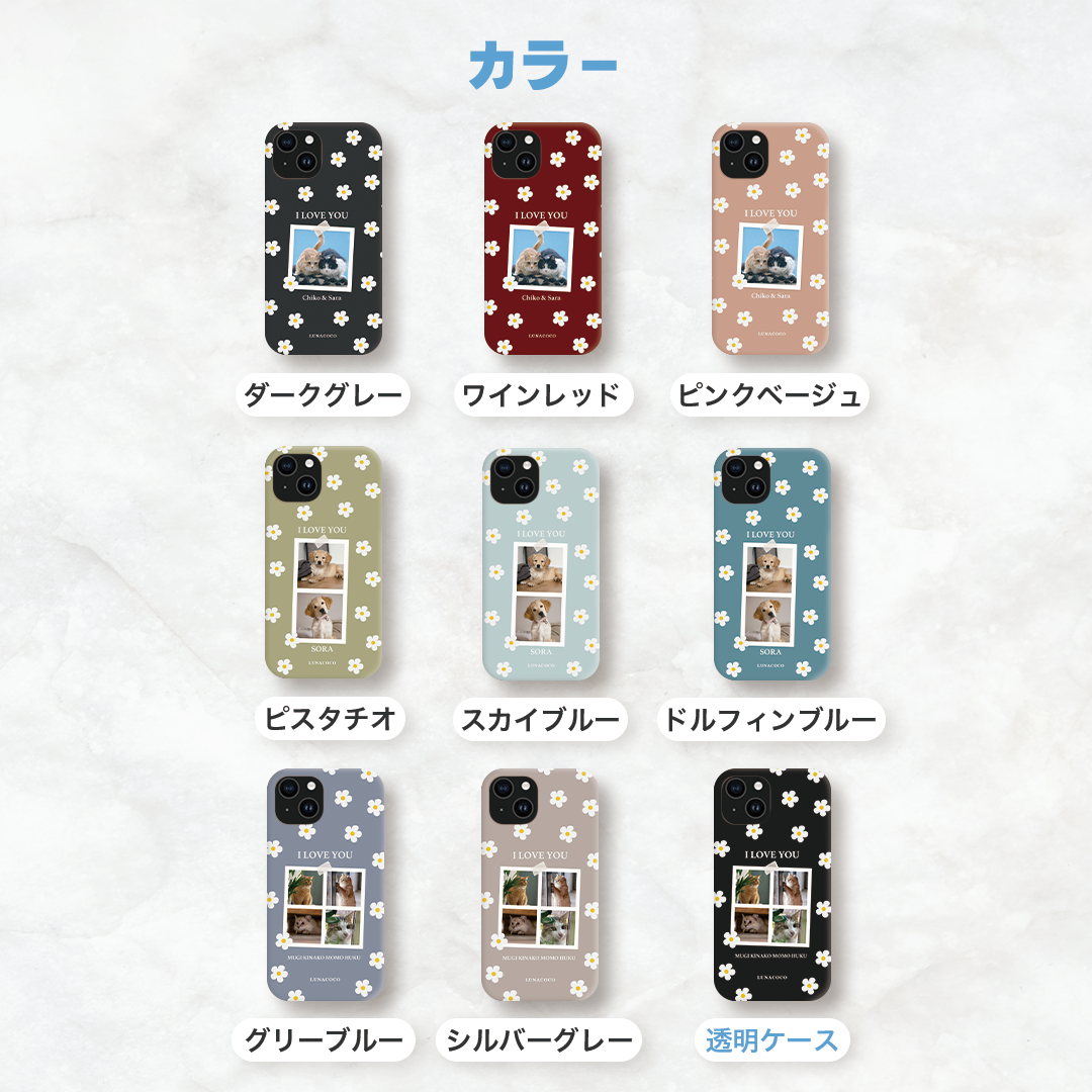 「Daisy Frame」デイジーフレーム