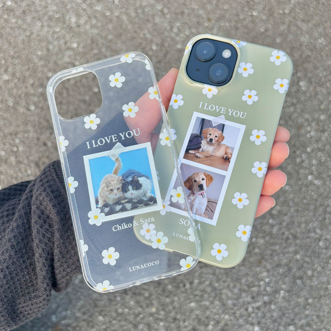 「Daisy Frame」デイジーフレーム