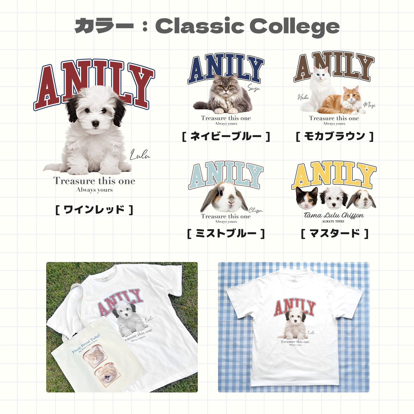 ANILY Premiumセット