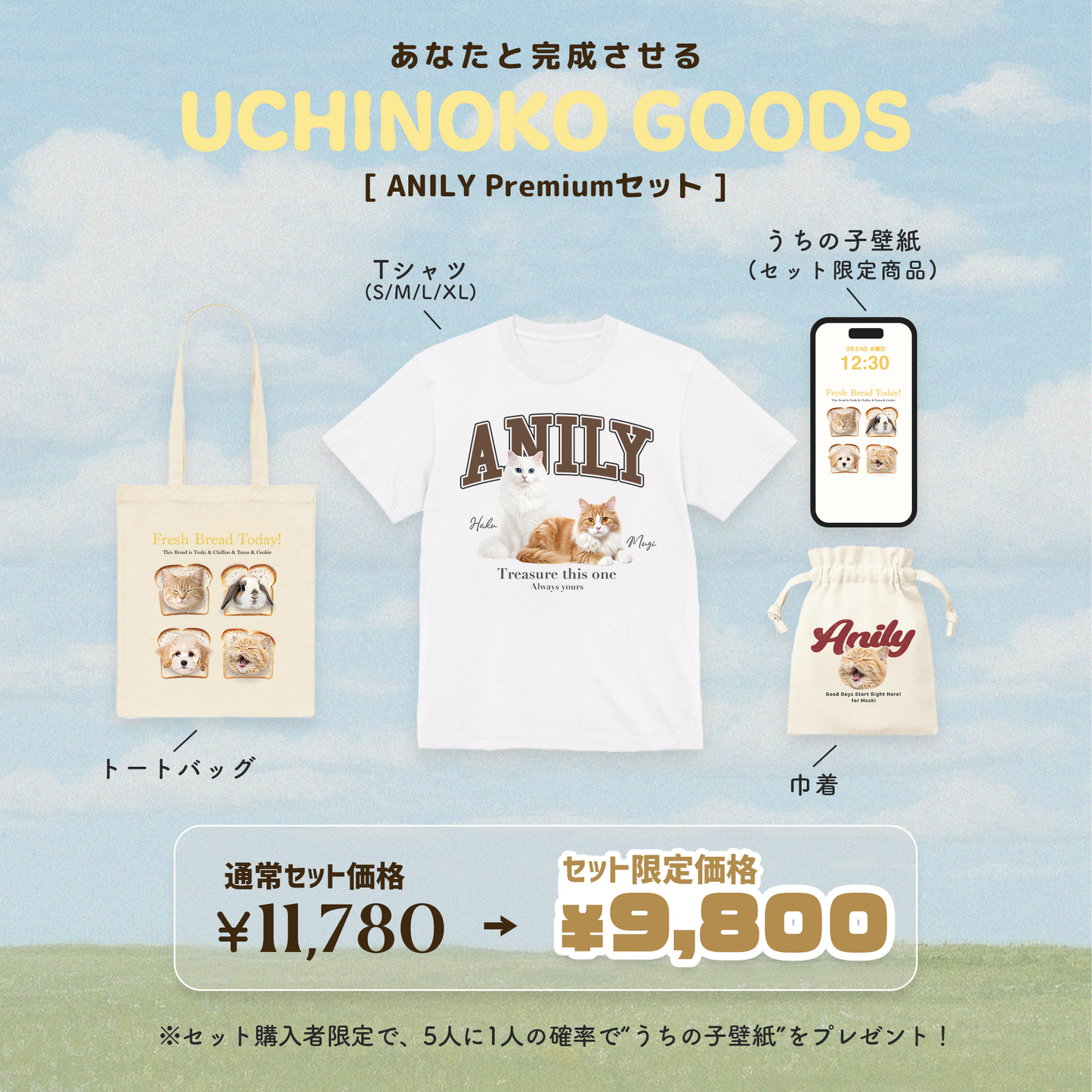 ANILY Premiumセット