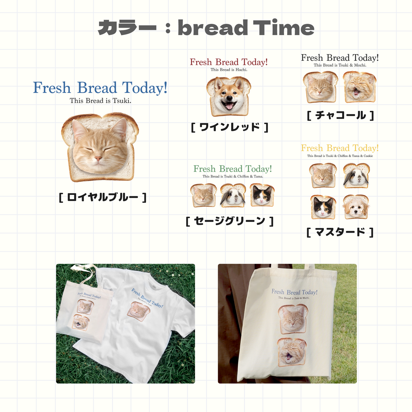 ANILY Premiumセット