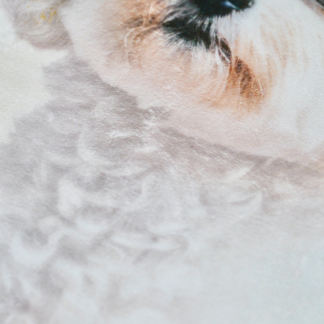 うちの子ブランケット