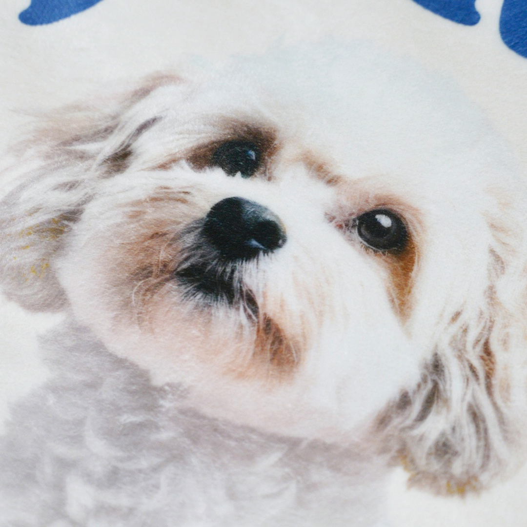 うちの子ブランケット