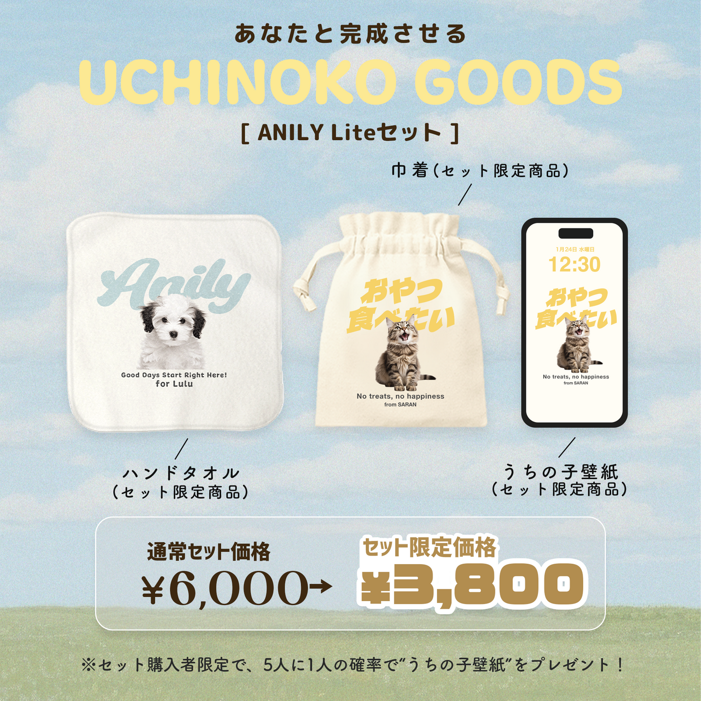 ANILY Lightセット