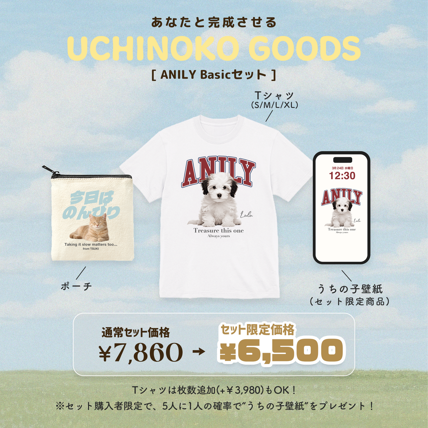 ANILY Basicセット