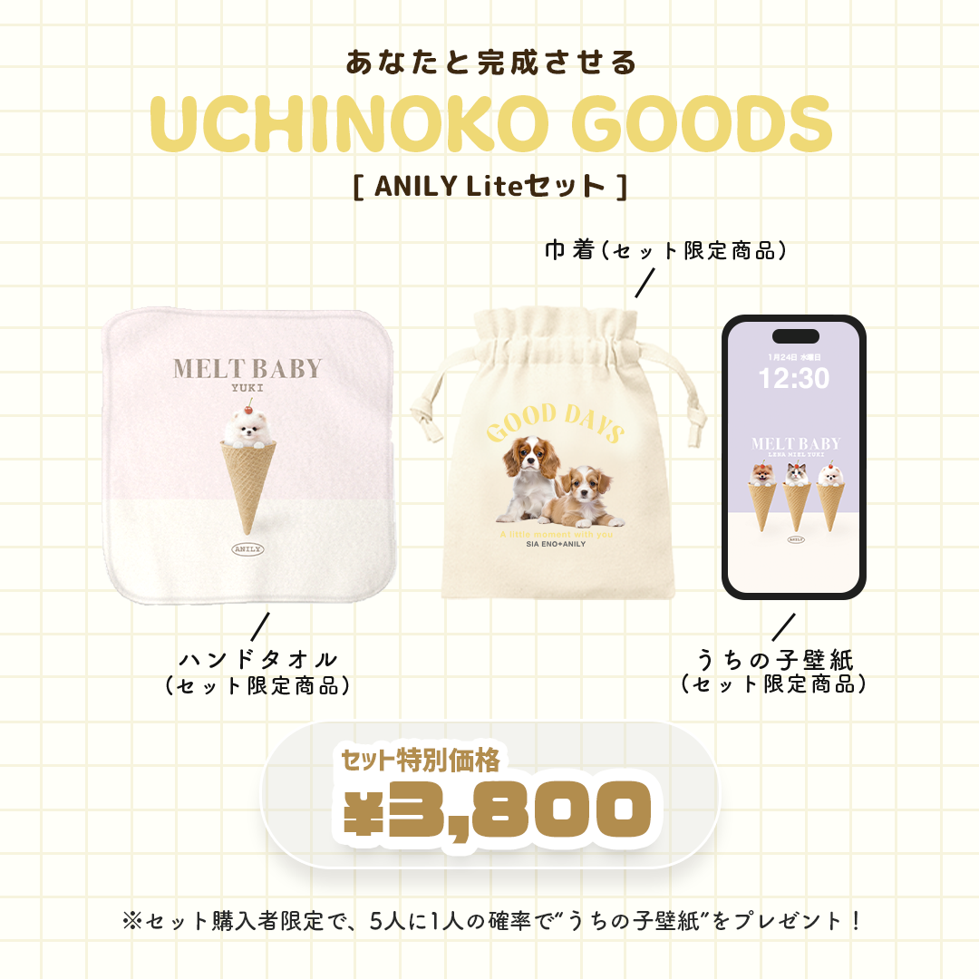 ANILY Lightセット