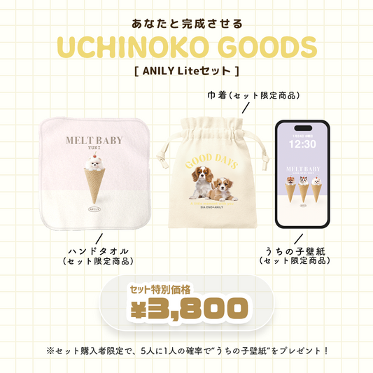 ANILY Lightセット