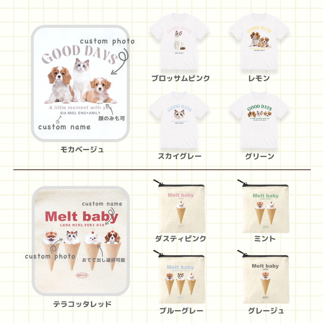 ANILY Basicセット