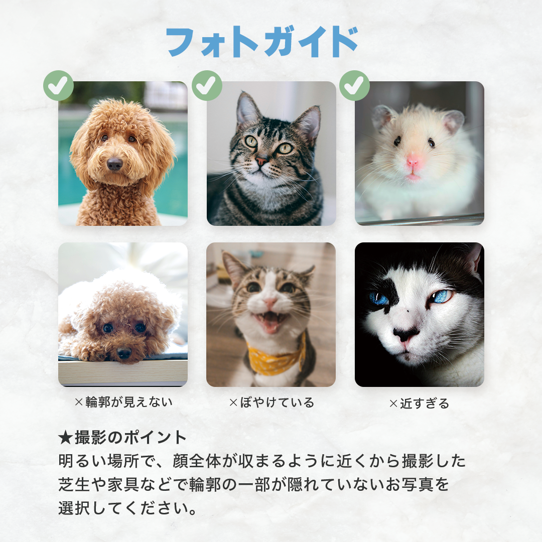 「Cherish」チェリッシュ